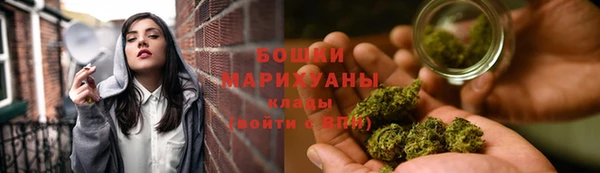 шишки Армянск