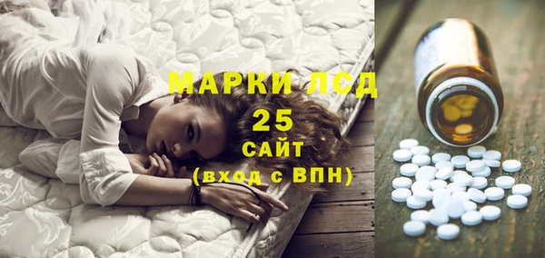 ГАЛЛЮЦИНОГЕННЫЕ ГРИБЫ Балабаново