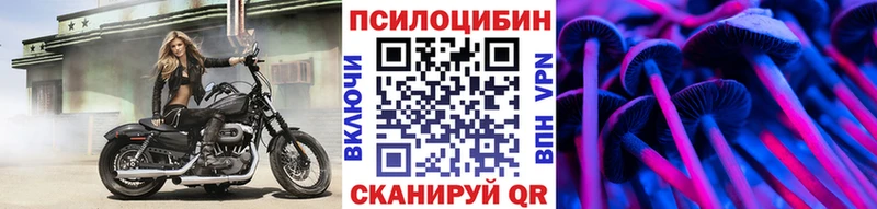 купить закладку  Вятские Поляны  Псилоцибиновые грибы Magic Shrooms 
